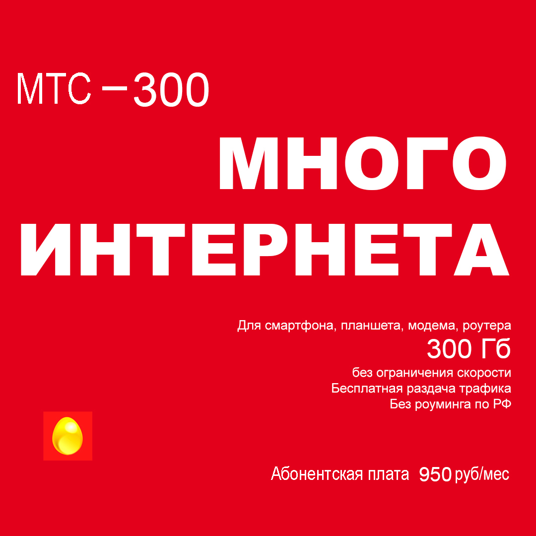 Интернет 300
